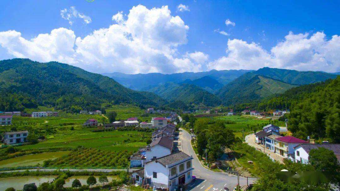 《炎陵县密花村申报全国乡村旅游重点村》资料编制