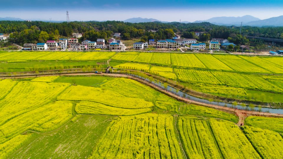 《南岳区南岳镇红星片区田园综合体项目申报材料》编制