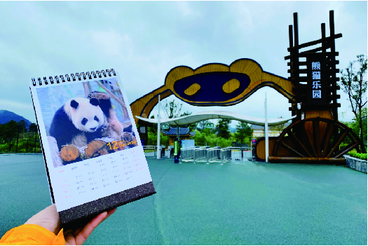 《凤凰中华大熊猫苑景区创建国家4A级旅游景区提升策划》