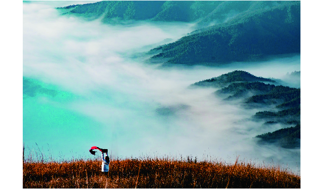 《涟源龙山国家森林公园旅游规划》