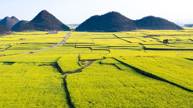 乡村振兴