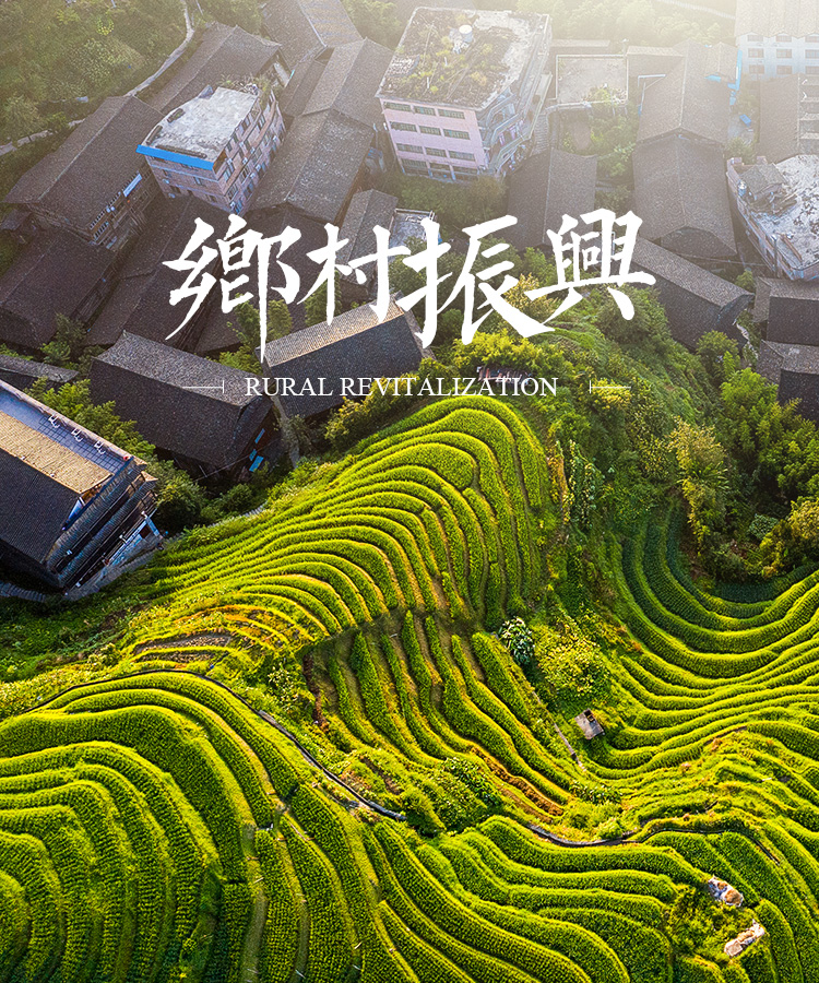 乡村振兴